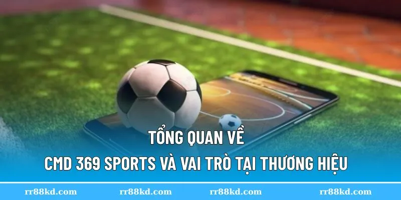 Giao diện thể thao hiện đại của CMD 369 Sports